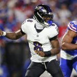 Bills, NFL bans fan who shoved DeAndre Hopkins and Lamar Jackson