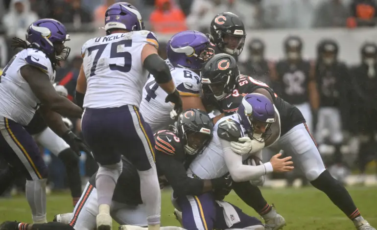 Bear Up, Bear Down: Who helped, hurt stock vs. Vikings